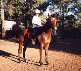 Leece and her horse